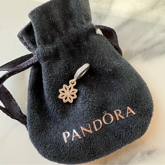 Exquisite Pandora 14K Gold & Sterling 2-Tone Lace Botanique Dangle Charm RARE - Picture 2 of 9